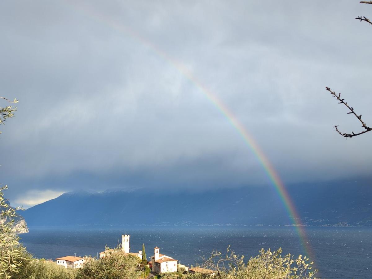 Agriturismo L'Uliveto Gargnano Pokój zdjęcie